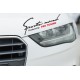 Sport mind pro tuning, Auto Aufkleber