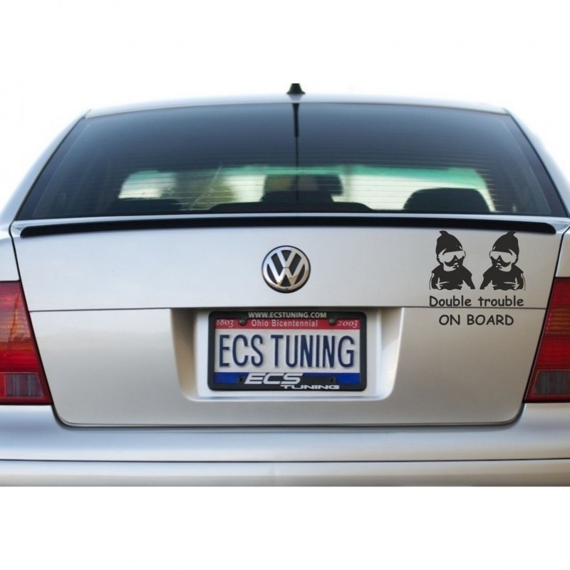 Zwillinge im Auto – Double Trouble on Board Sticker für Autos