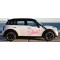 Barbie mit Schmetterlingen und Blume 